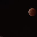 레드문(Red Moon) 이미지