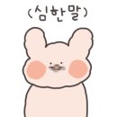 금순이 맛집 이미지