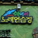 쉐이리 노래연습장 이미지