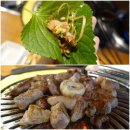 진안도야지 | 종각역 맛집 고기집 제주판도야지에서 돼지한판 호로록~