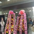 새들민박 이미지