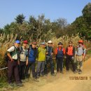 호수공원소나무숲길 이미지