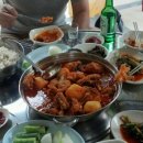 솔밭팬션 Daum카페