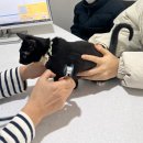 문산동물의료센터 이미지