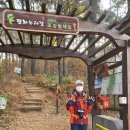 조강철책길 이미지