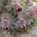 서면농장 이미지