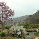 심청한옥마을 이미지