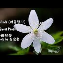 스티븐 호킹의 "과거로의 시간여행" (자작) 이미지
