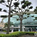 제주관광공사 이미지