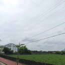 세화부동산중개사무소 이미지