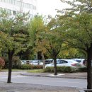 강일철물점 이미지