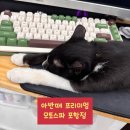 모토스파 이미지