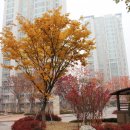 흥덕마을5단지 호반베르디움 이미지