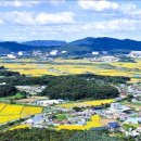 청미천 1 | 2026년 1월1일 경기옛길 영남길에서