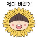 양달캠핑장 이미지