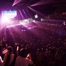 엠티브이13로 이미지