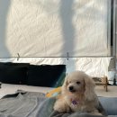 러브팜캠핑장 이미지