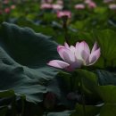 올래 노래연습장 이미지