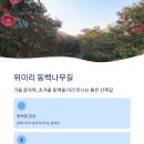 노을위 밥상 이미지