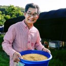 알찬들애