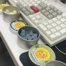 솔잎향 | 무려 당 함량 0% 자이리톨스톤 4종 후기 (졸음캔디, 솔잎향, 레몬부스터, 청포도)