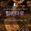 건강일비