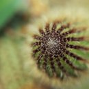 부천자연생태박물관 이미지