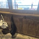 순이칼국수 | 포항 효자맛집 라멘 찐맛집 인정 [ 포항 순이 ] 🍜 토리파이탄 굴라멘 후기