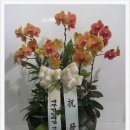 세무법인지성 네이버블로그