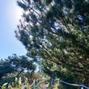 아름다운풍경 | [함덕 서우봉] 푸른 바다 뒤 숨겨진 아픈 역사와 평화롭고 아름다운 목가적 풍경의 둘레길 후기