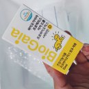 가이아인터내셔널 이미지