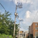 돌산동물병원 | 그랜저GN7광주에서여수돌산택시 광주여수돌산택시 광주장거리택시