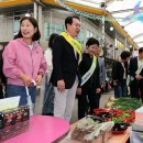 괴산전통시장 이미지