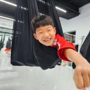 품 태권도장 이미지