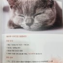 해마루 동물병원 | [강아지 심장 잡음] 해마루 동물병원에서 동맥관개존증(PDA) 수술 없이 교정한 후기 및 비용
