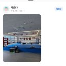 모던복싱클럽 향동 이미지