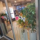 롯데리아평택안중점 이미지