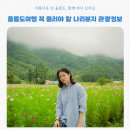울릉도 자유여행 꼭 들러야 할 나리분지 관광정보와 후기