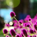 자은황토펜션 이미지