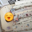 분당-319 | [분당 산후도우미 후기] 위드맘케어 베스트 관리사님과 함께한 행복한 3주