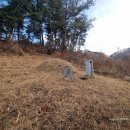 박응훈효자문 이미지