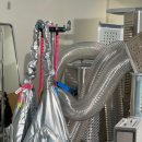 성수퍼피 이미지