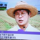 풍년드림