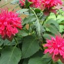 중곡3동주민센터 이미지