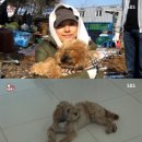 고재완 농장 스포츠조선