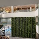 에프스포렉스 이미지