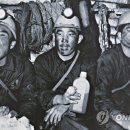 광부 - 강남구 도산대로56길 17 | 광부