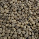 감자창고 이미지