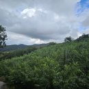 홍현농장 이미지