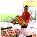 야생초농원 이미지